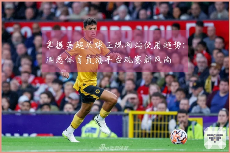 掌握英超买球正规网站使用趋势：洞悉体育直播平台观赛新风尚