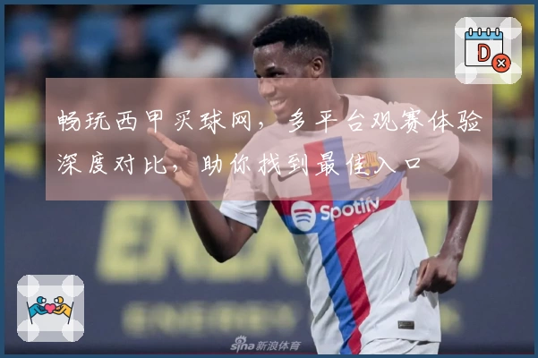 畅玩西甲买球网，多平台观赛体验深度对比，助你找到最佳入口
