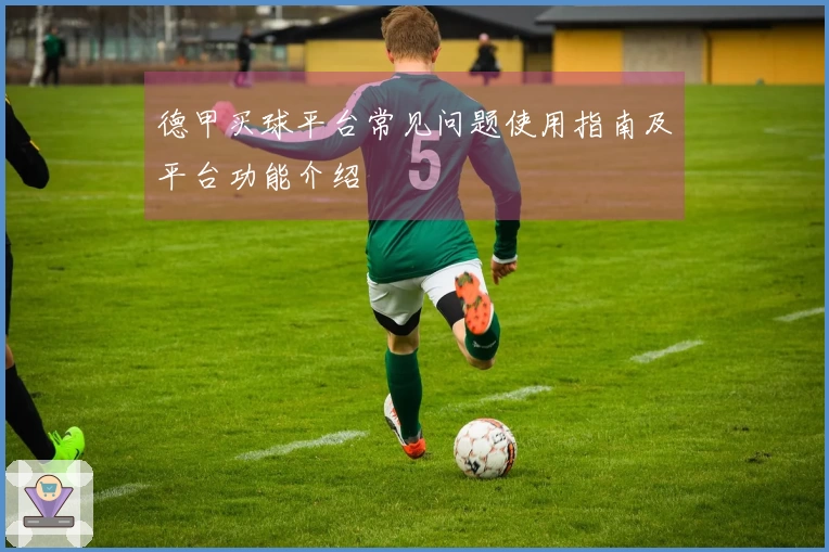 德甲买球平台常见问题使用指南及平台功能介绍