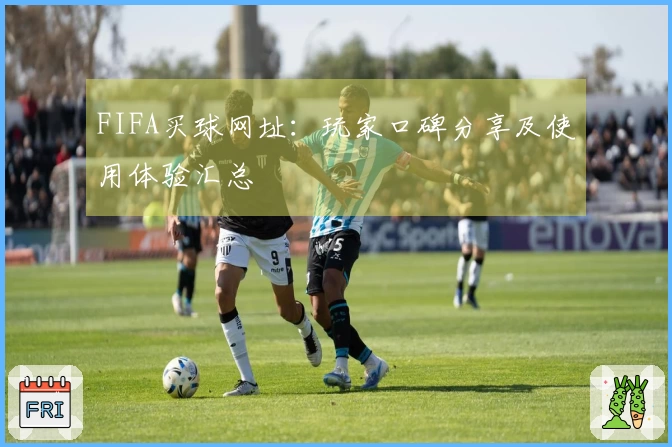 FIFA买球网址：玩家口碑分享及使用体验汇总